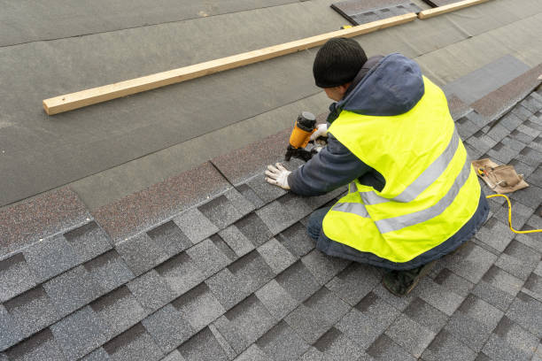 Best Roof Gutter Cleaning  in Leisure Village, NJ